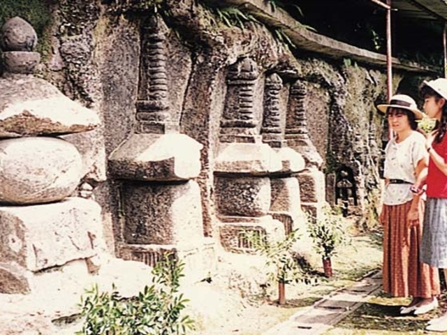 ���R�Γ��̎ʐ^1