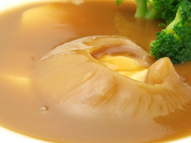 ���R�� ���R���u�X�̎ʐ^1