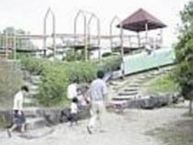 �V��L��ł́A�q�������̏Ί炪�₦�Ȃ�_�Вj�g����