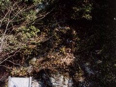 �s���@���J�f�����Q���̎ʐ^1