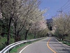 �Y��̍��̎ʐ^1