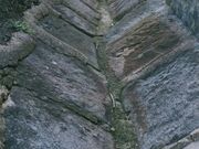 �O�p�a�Ղ̎ʐ^1