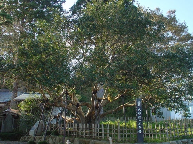 ��D�n�̎O�ʒ�_��D�n�̎O�ʒ�