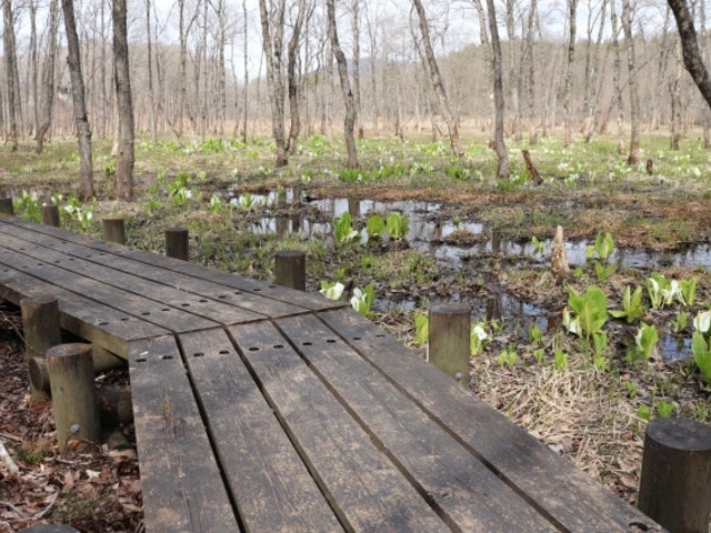 �r�򎩑R�ٖؓ�_�r�򎩑R��