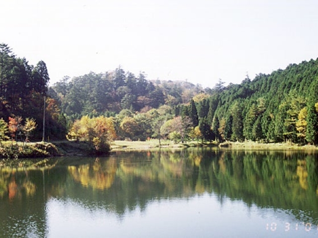 �i�˗��J�����т����̐X