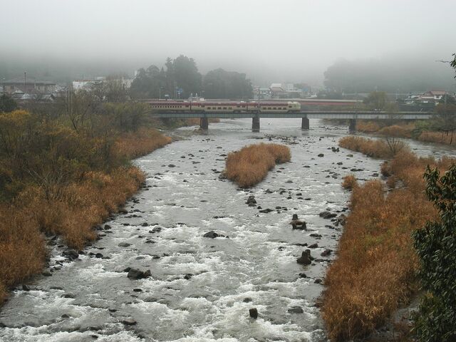 �����_�����