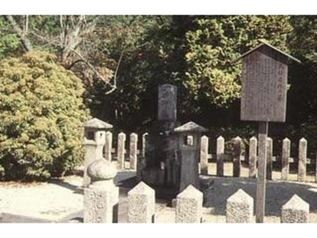 �����W���