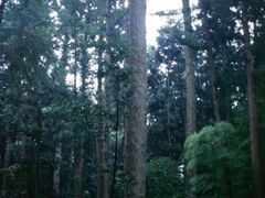 ���[�_�Ђ̃��~�Q���̎ʐ^1