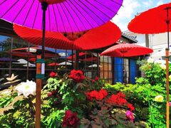 �ω����̃{�^���̎ʐ^1