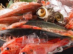 ����Ă� �z��̑䏊 �T�c�X�̎ʐ^1