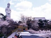 �ω��R�̍��̎ʐ^1