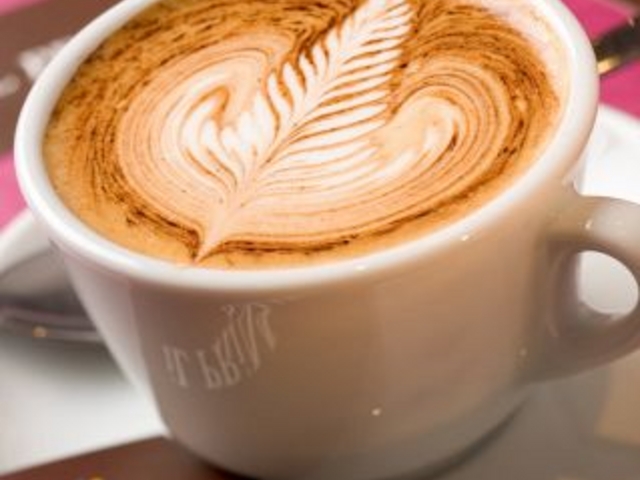 Cv}I iL PRiMARiO̎ʐ^1