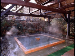 奥那須大正村　幸乃湯温泉の写真1