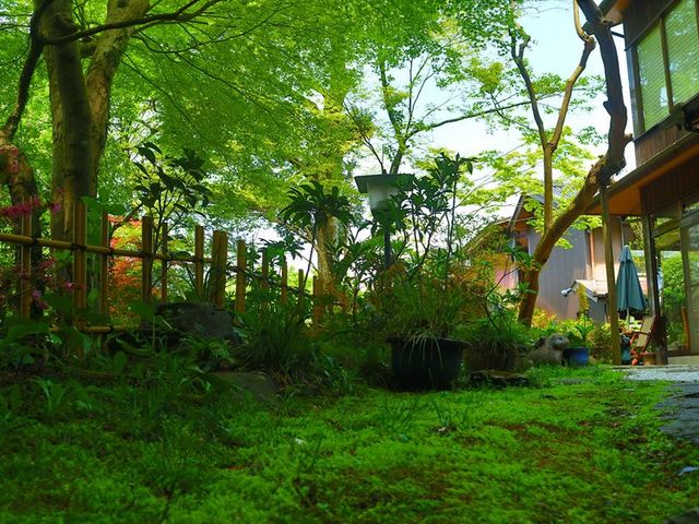 ���V�h�@�������ف@���{��