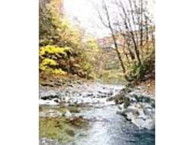 �J�����}���������K����D�̎B�e�X�|�b�g_���Ð�k�J