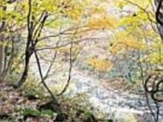 ��̂����炬�Ɏ����X���Ȃ���U�����悤_���Ð�k�J