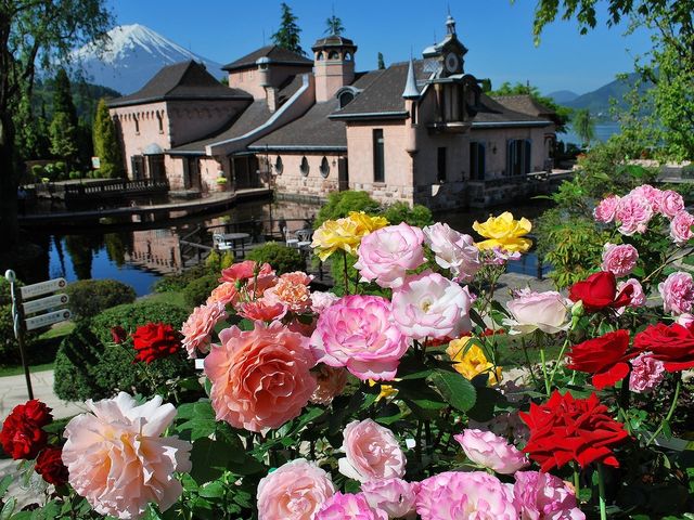 ���X�̃o�������o�}�������Ă���܂�_�͌��� ���y�ƐX�̔��p��