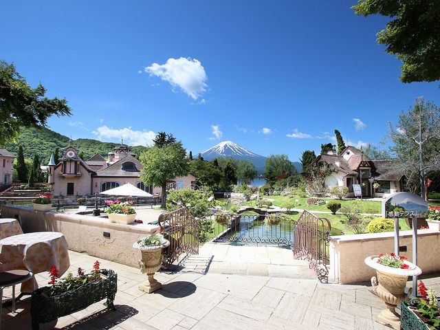 �x�m�R�𒭂߂��銴���e���X_�͌��� ���y�ƐX�̔��p��