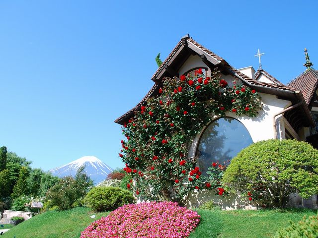 �x�m�R�ƃo��_�͌��� ���y�ƐX�̔��p��