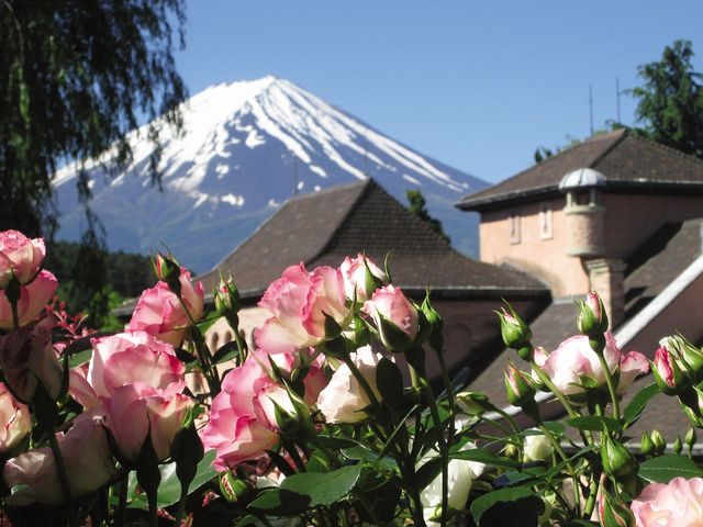 �͌��� ���y�ƐX�̔��p��