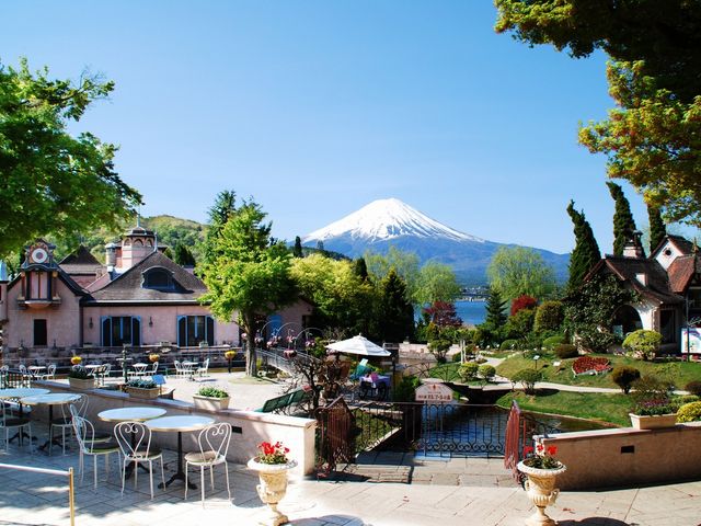 �����̕x�m�R�ɏo���������ȃ��[���b�p �͌��� ���y�ƐX�̔��p��_�͌��� ���y�ƐX�̔��p��