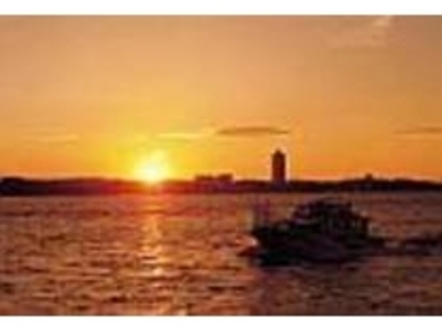 �m�������z���ɒ���ł����A�������[��_�T���Z�b�g�r�[�`