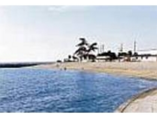 �n���̐l�����ɂ���Ĕ������ۂ���鍻�l_�T���Z�b�g�r�[�`