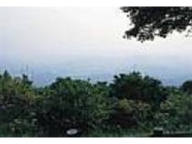 �V���G�߂ɂ���Ă��܂��܂ȕ\���������_����R��\��J�W�]����