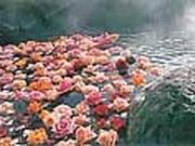 O[rbW@X̂œ@̂̎ʐ^1