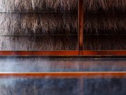 l@ɐ@A艷@΋g̓̎ʐ^2