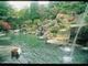 神泉閣の写真1