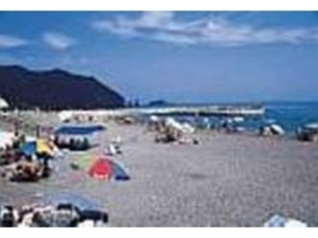 �g�����₩������t�@�~���[�ɐl�C_��ނ��邩�l����