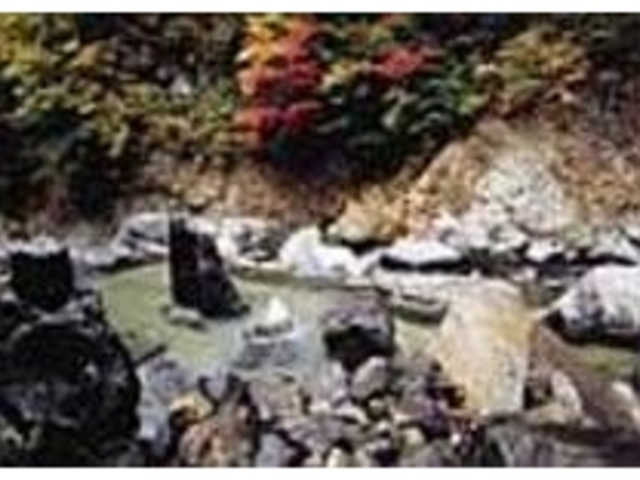 �V�R��΂łł����k�J�̖؁X�Ɉ͂܂ꂽ�I�V_�啽����@�ꌩ��