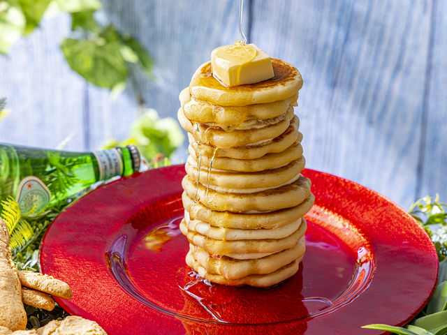 �C���^�[�i�V���i���K�[�f���z�e�����c