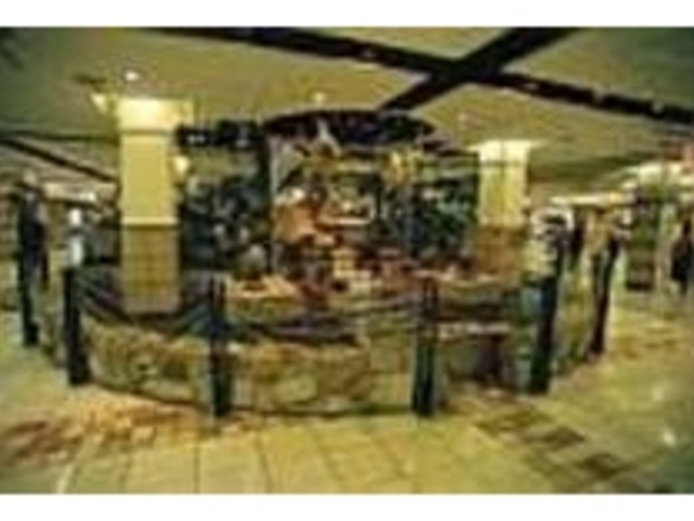 p[K[f̂悤Ȃ₷炬̋_ׂ