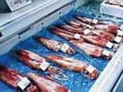 ËR`tBbV[}YrbW̎ʐ^2