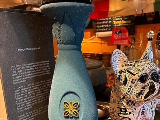 EN-LAVIDA �G�����r�[�_�̎ʐ^1