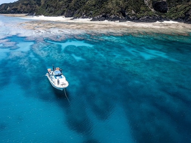 Marine�@Service�@FAMILLE