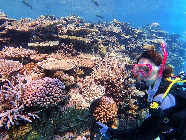 Marine�@Service�@FAMILLE