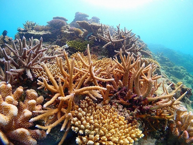 Marine�@Service�@FAMILLE