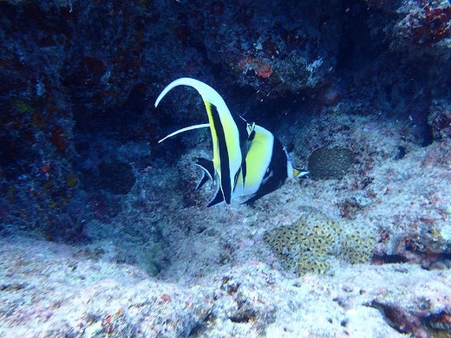 Marine�@Service�@FAMILLE