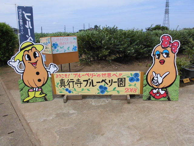 �t�H�g�X�|�b�g�B_�^�s���u���[�x���[��