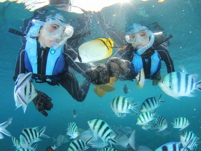 �O�m�ł̓J���t���ȋ��B�Ɉ͂܂�܂���_�v�Y�}���_�C�o�[�Y�N���u