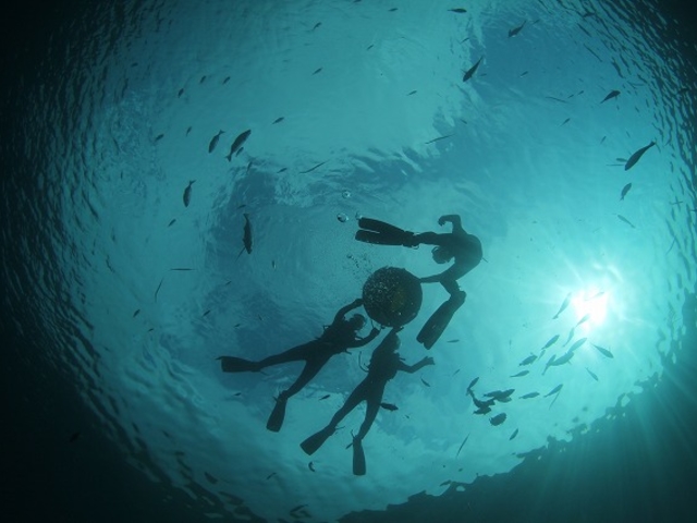 �������ތ����Ƃ��Ă��L���C��_�v�Y�}���_�C�o�[�Y�N���u