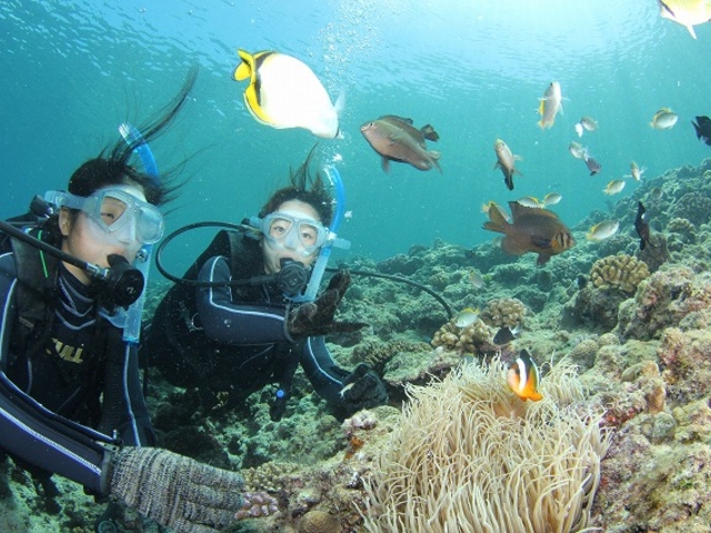 �����N�}�m�~�B�ɏo��邩����_�v�Y�}���_�C�o�[�Y�N���u