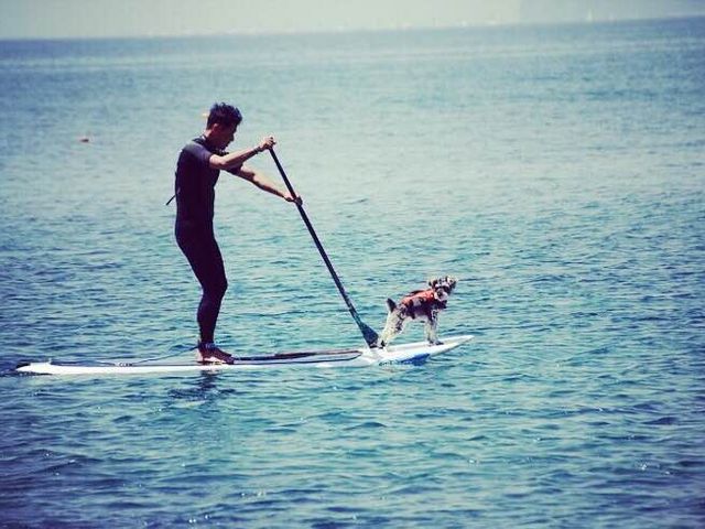 ���E�Z�[���t�R