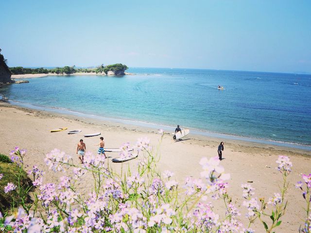 ���E�Z�[���t�R