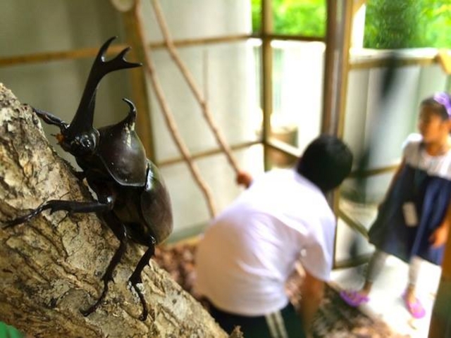 �J�u�g�����_�������]�[�g�@INAKA TOURISM