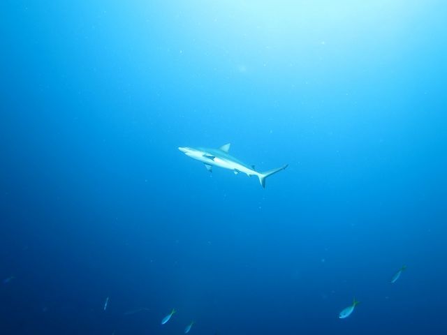 Om|Cgł̓T_܂I_NmX@I[V@tB[h