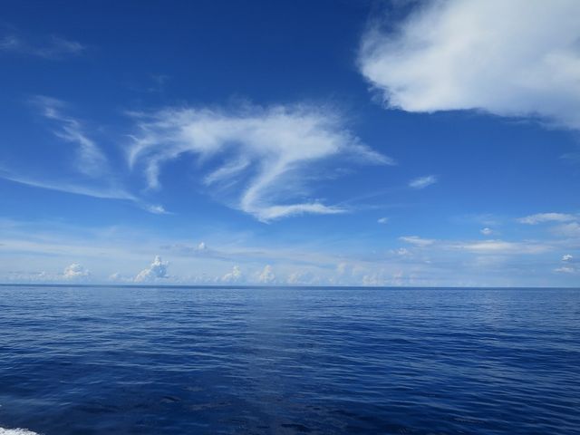 ICIō`_NmX@I[V@tB[h